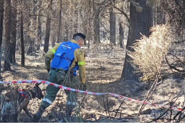 EL GOBIERNO ACUSA A LOS MAPUCHES DE PROVOCAR INCENDIOS